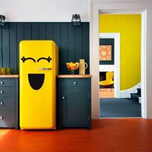 Холодильник в цвет акцентной стены фото