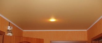 Натяжные потолки для больших помещений
