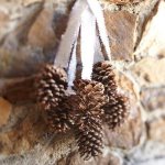 New Year&#39;s crafts from pine cones
